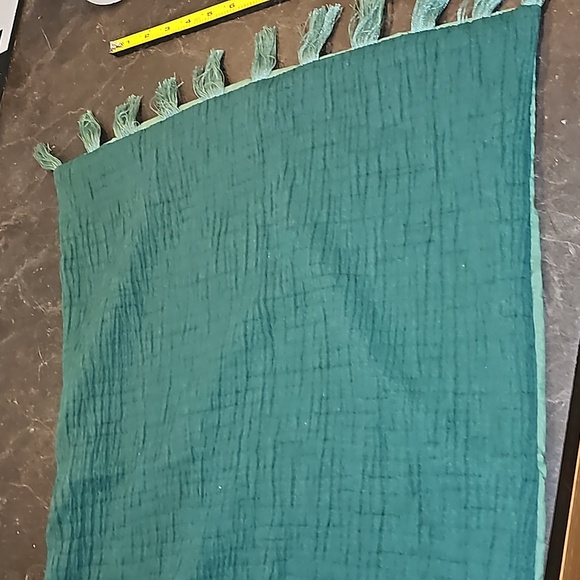 Final ! One Opalhouse jungalow dark teal aqua fringe pillow sham standard - Picture 4 of 8